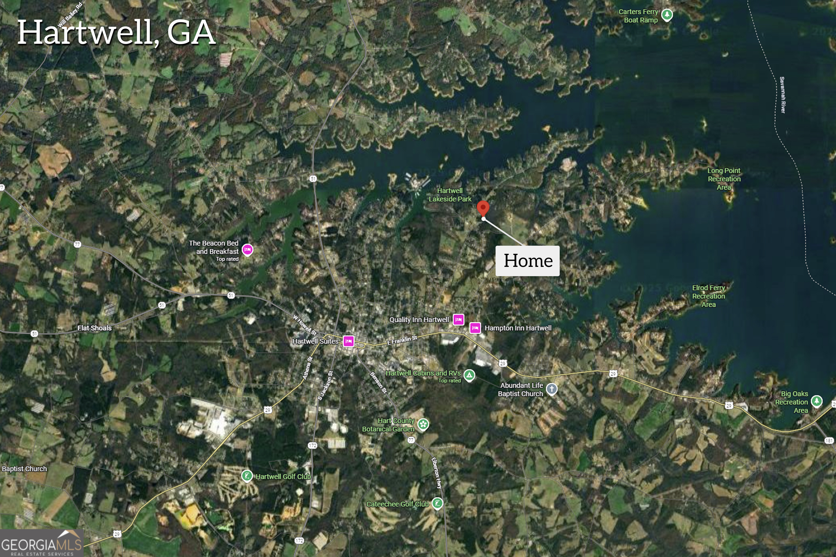 174 Old Milltown Road Hartwell, GA 30643 - Photo 53 of 53 a picture of flowers