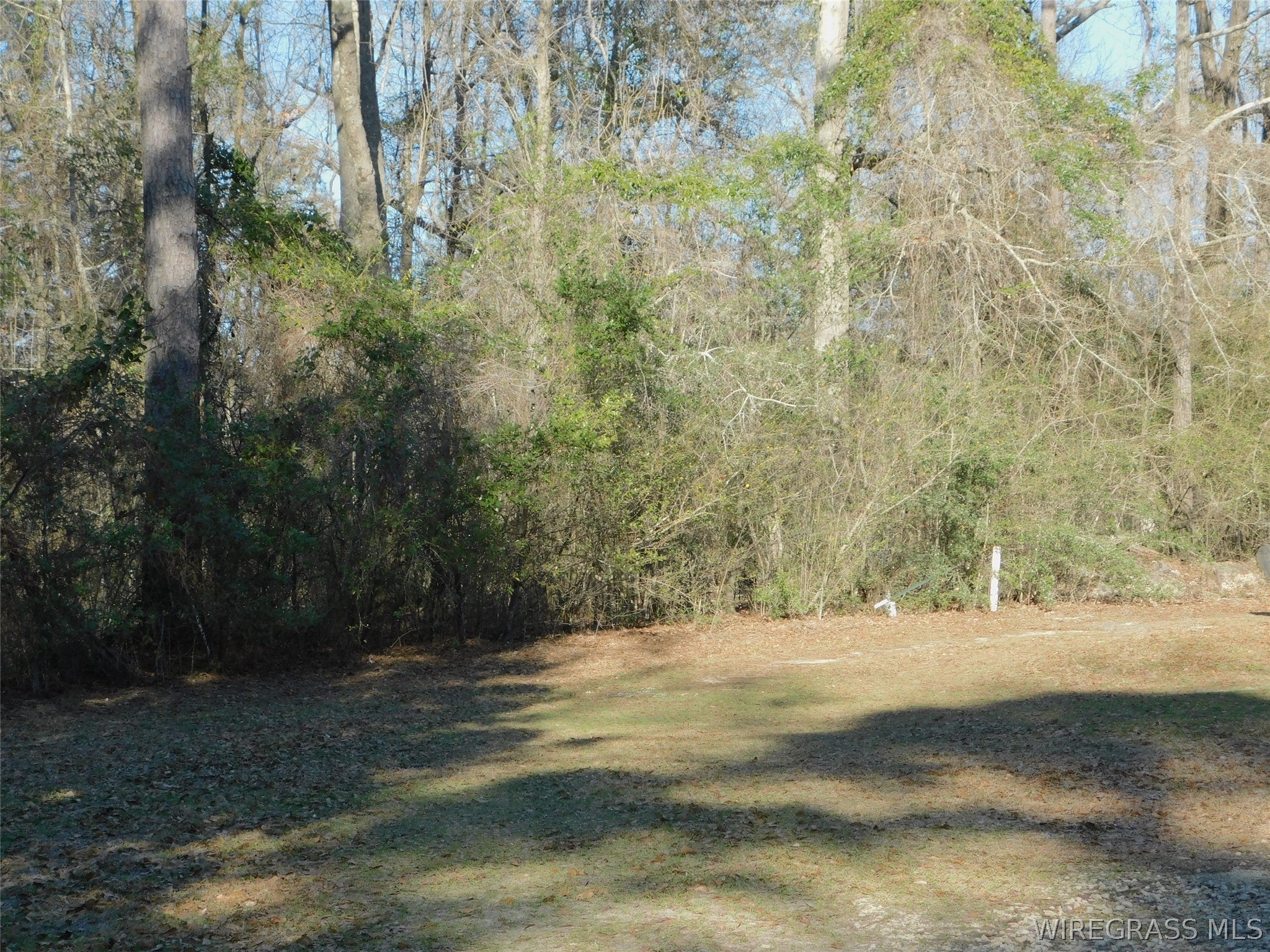 28584 Hammett Road Andalusia, AL 36421 - Photo 21 of 25 Gallery Image 21