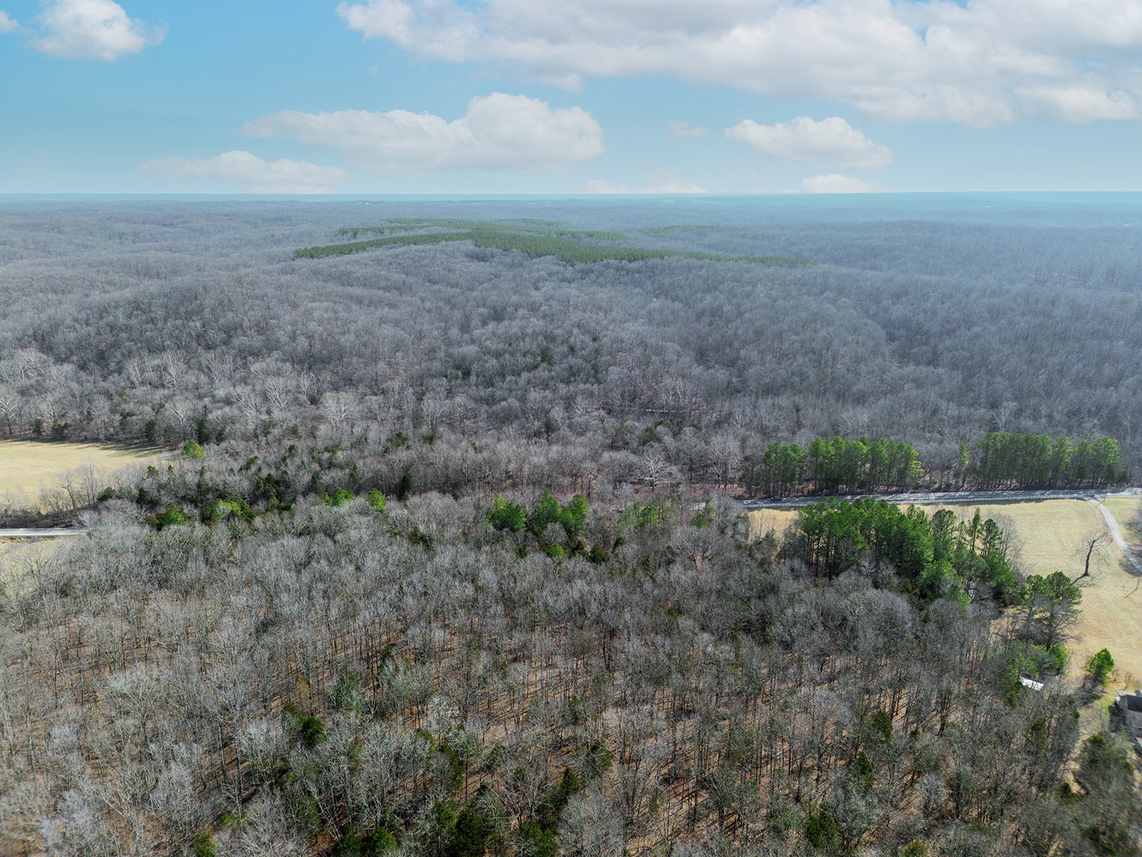 0 Erin Road North McEwen, TN 37101 - Photo 4 of 13 Gallery Image 4