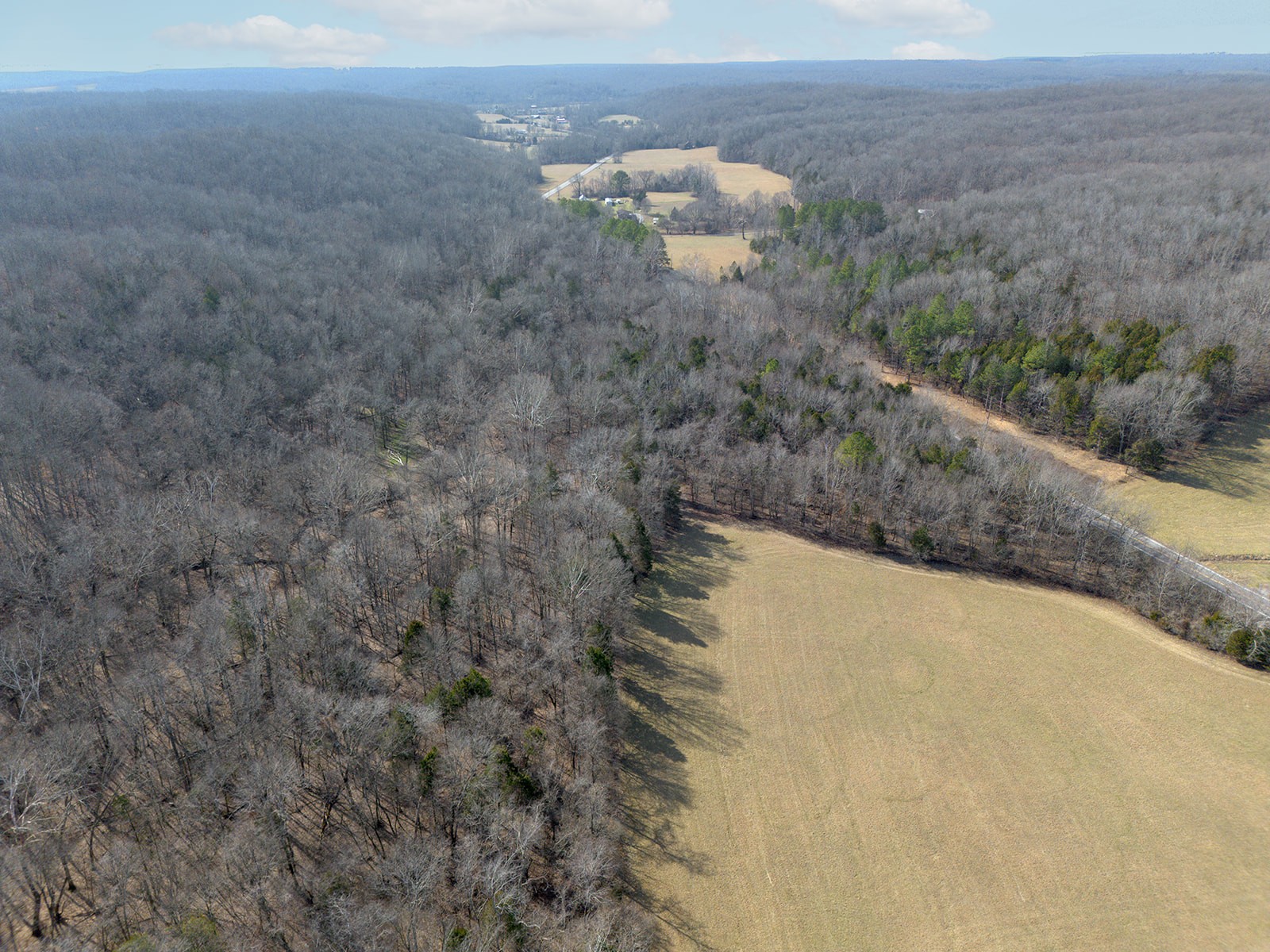 0 Erin Road North McEwen, TN 37101 - Photo 8 of 13 Gallery Image 8
