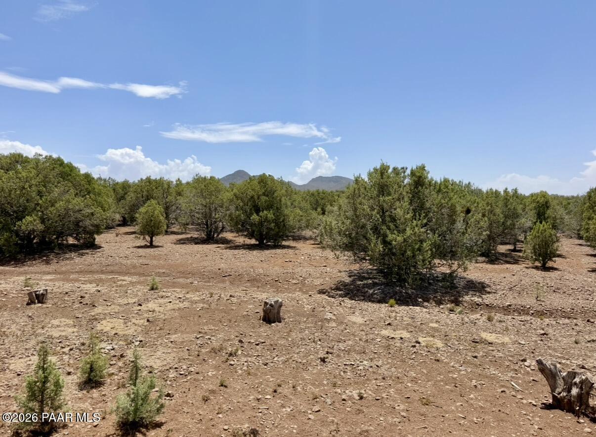 17169 Beale Wagon Road Seligman, AZ 86337 - Photo 50 of 55 Beale Wagon Homestead