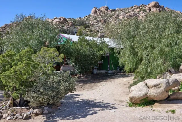 a view of a yard with a pathway