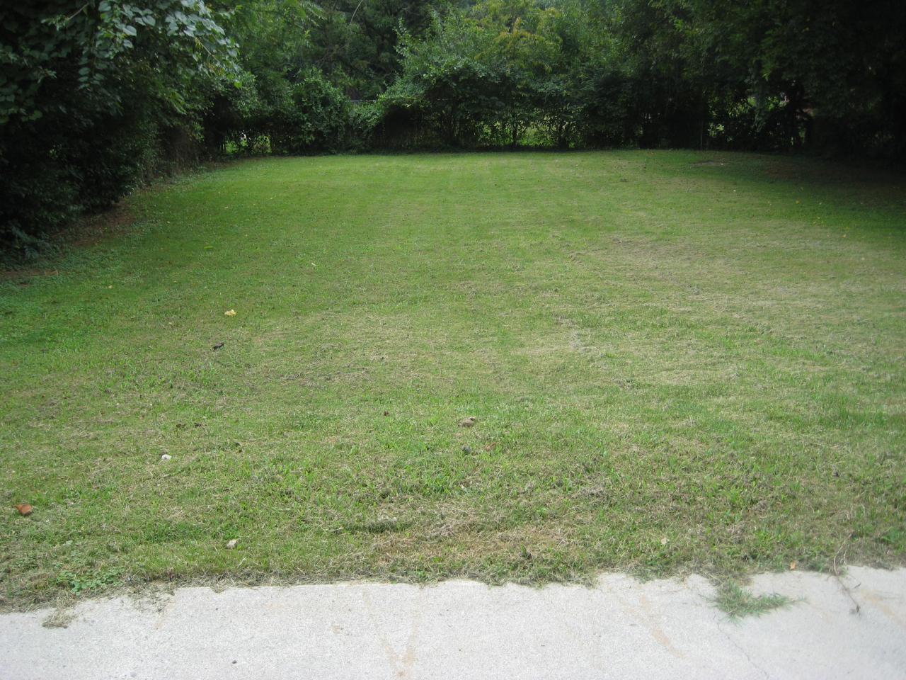 3034 Cove Road Roanoke, VA 24017 - Photo 4 of 11 Fenced Back Yard