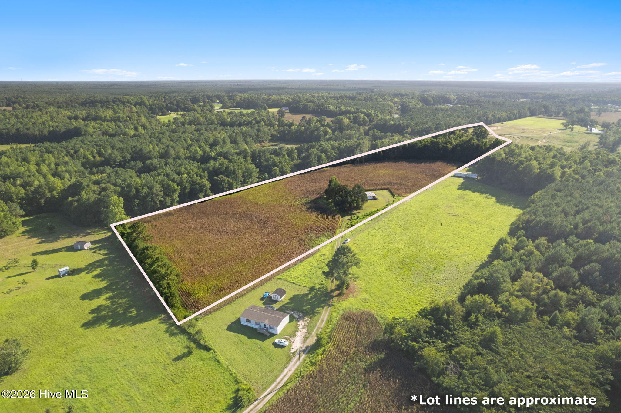 3241 General Howe Road Riegelwood, NC 28456 - Photo 8 of 28 Gallery Image 8
