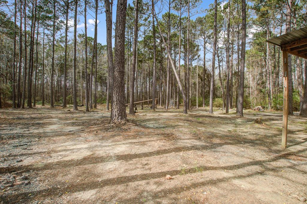 2125 Highway 15 St. George, SC 29477 - Photo 39 of 42 Gallery Image 39