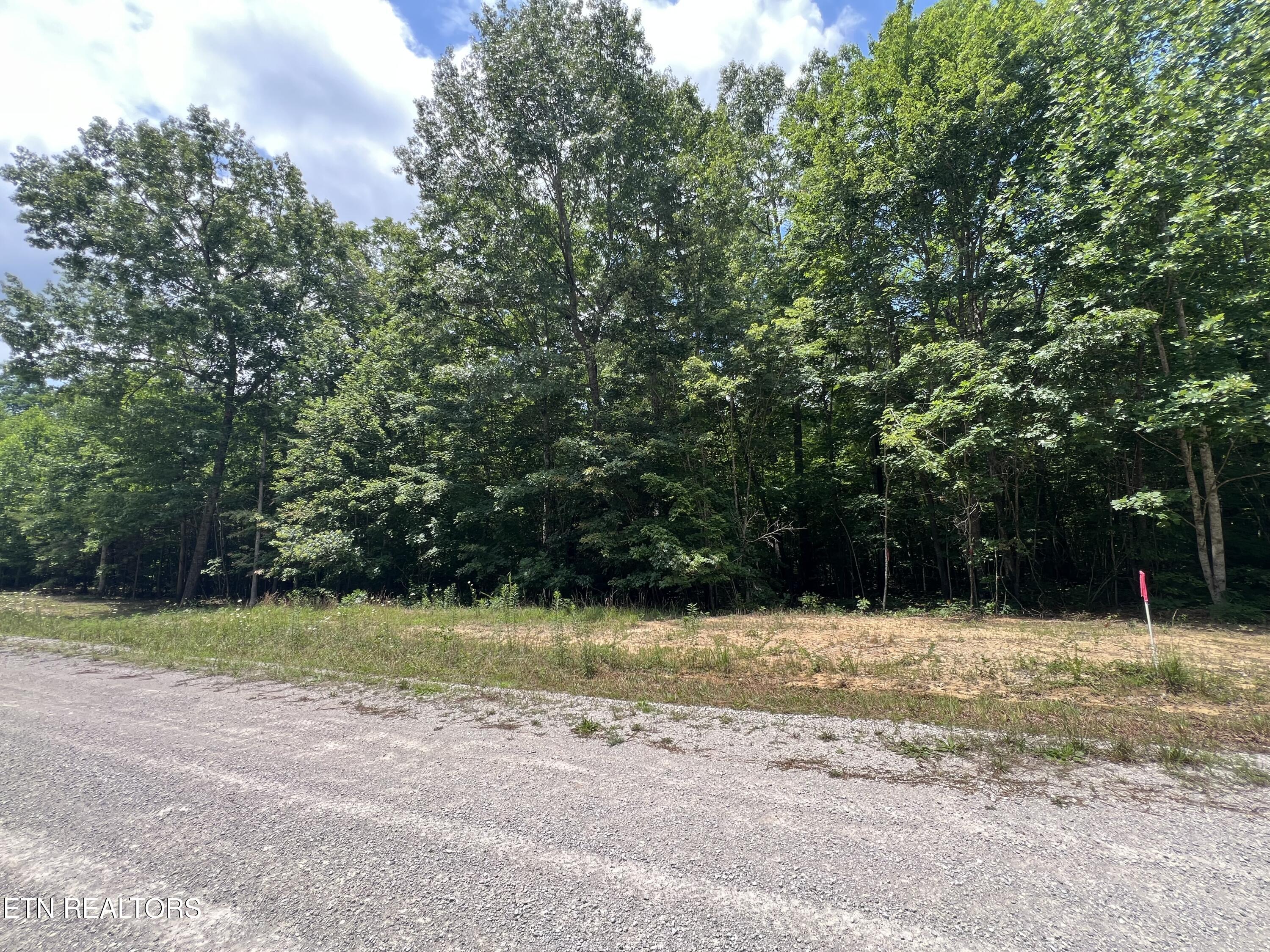 Lot 216 Hargis Road Grimsley, TN 38565 - Photo 1 of 4 IMG_1711
