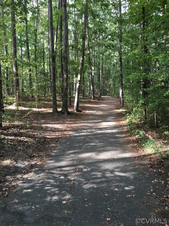 2106 Turtle Run Drive, Unit 12 Henrico, VA 23233 - Photo 40 of 40