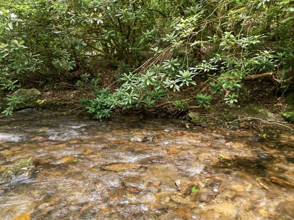 $139,000 | 84 Pounding Mill Lane, Hayesville, NC 28904
