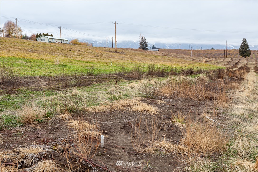 1388 Totem Pole Road Manson, WA 98831 - Photo 3 of 14 Gallery Image 3
