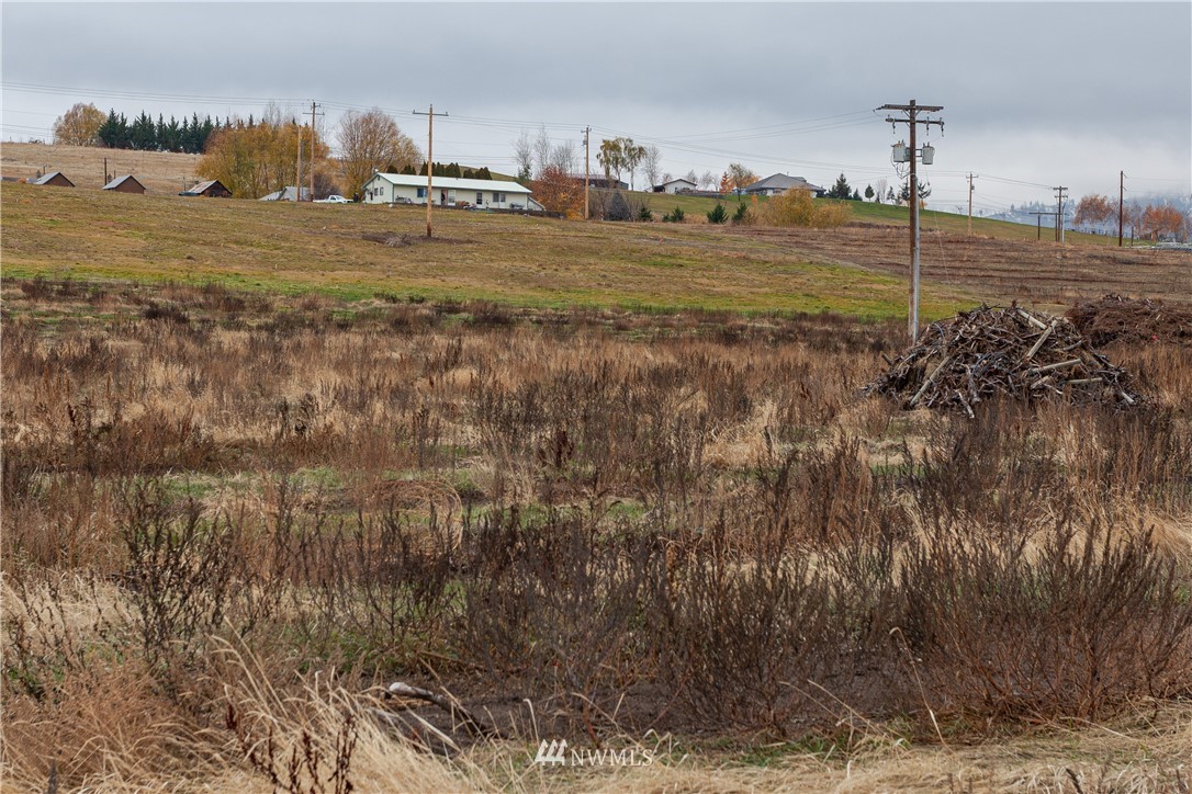 1388 Totem Pole Road Manson, WA 98831 - Photo 4 of 14 Gallery Image 4
