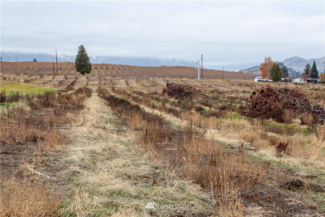 1388 Totem Pole Road Manson, WA 98831 - Photo 6 of 14 Gallery Image 6