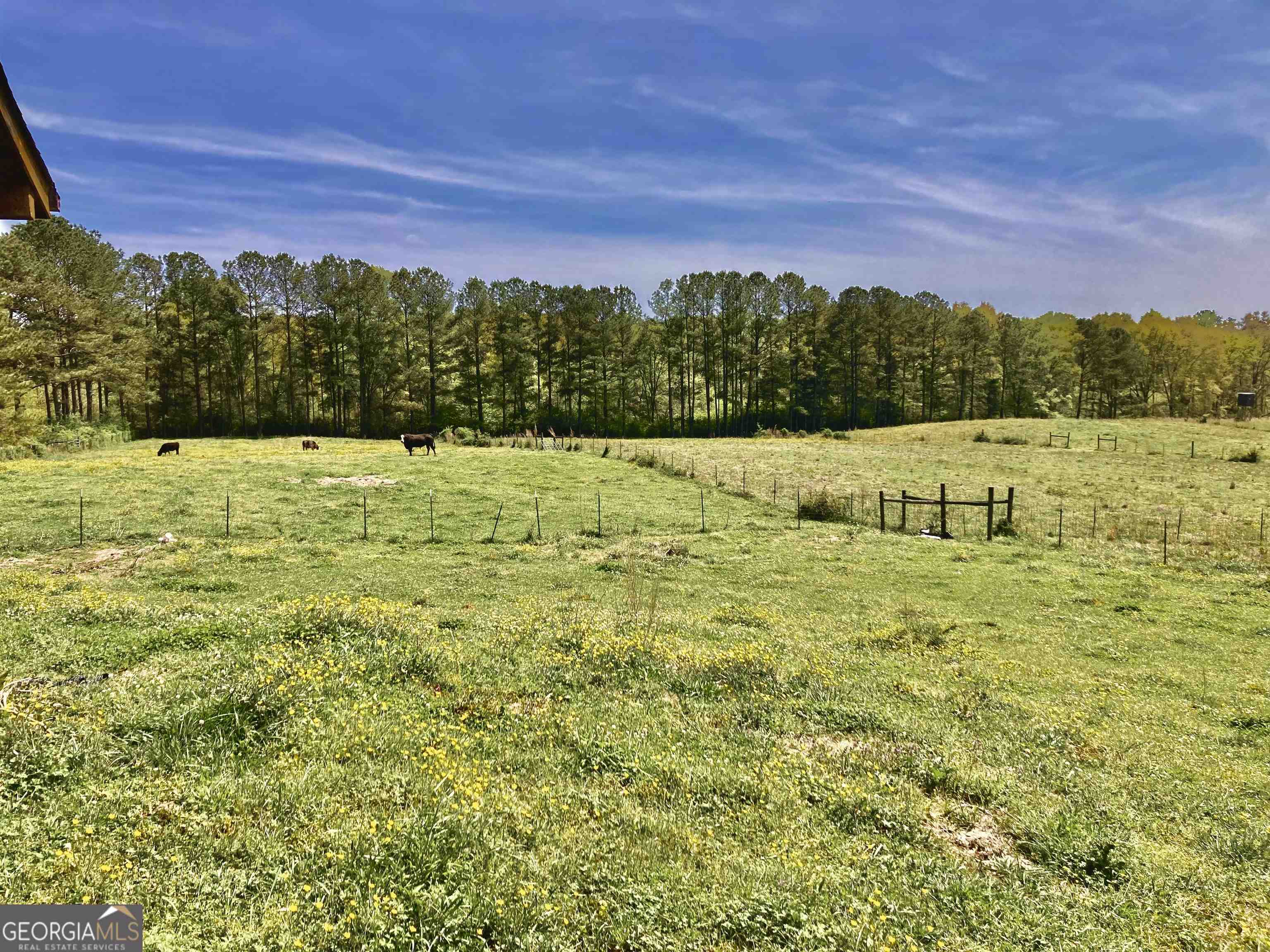 243 Ralls Road Hogansville, GA 30230 - Photo 35 of 39 a view of a lake with outdoor space