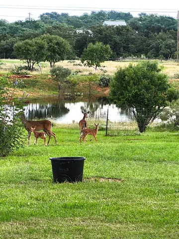 a backyard of a house