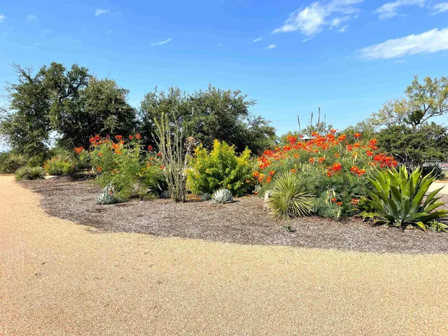 a couple of flower plants sitting in middle of a garden