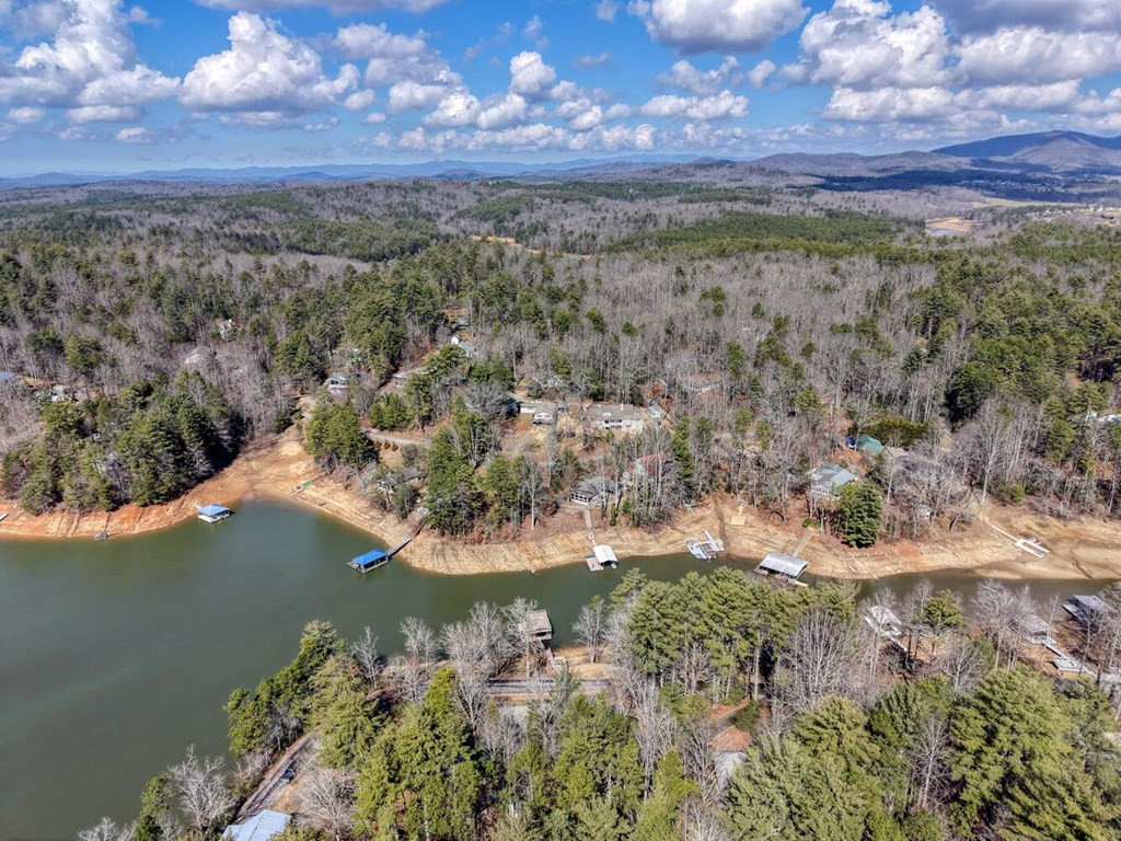 333 Reece Creek Road West Blairsville, GA 30512 - Photo 50 of 50