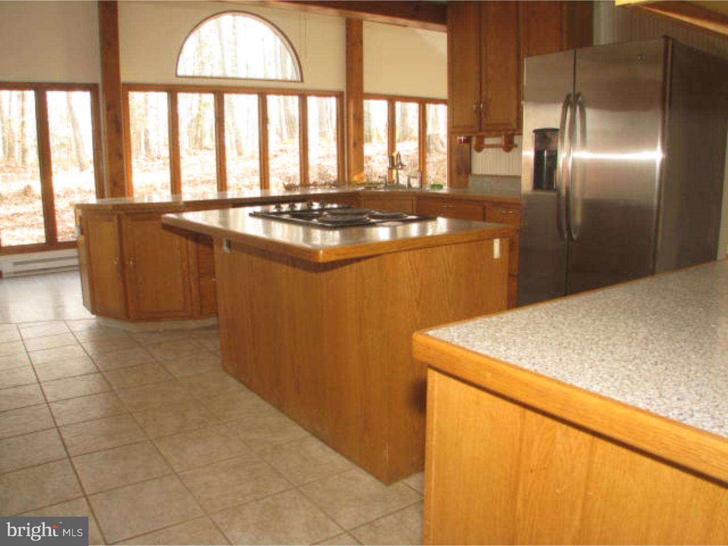 486 Birmingham Arneys Mt Road Pemberton, NJ 08068 - Photo 8 of 17 Kitchen