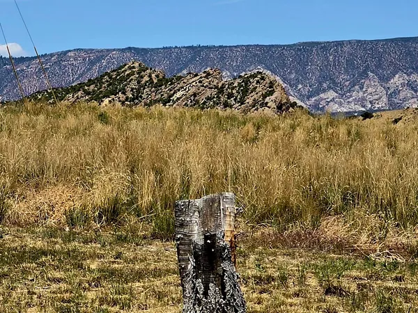 a view of wooden floor