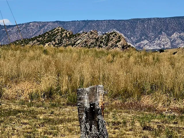 a view of wooden floor