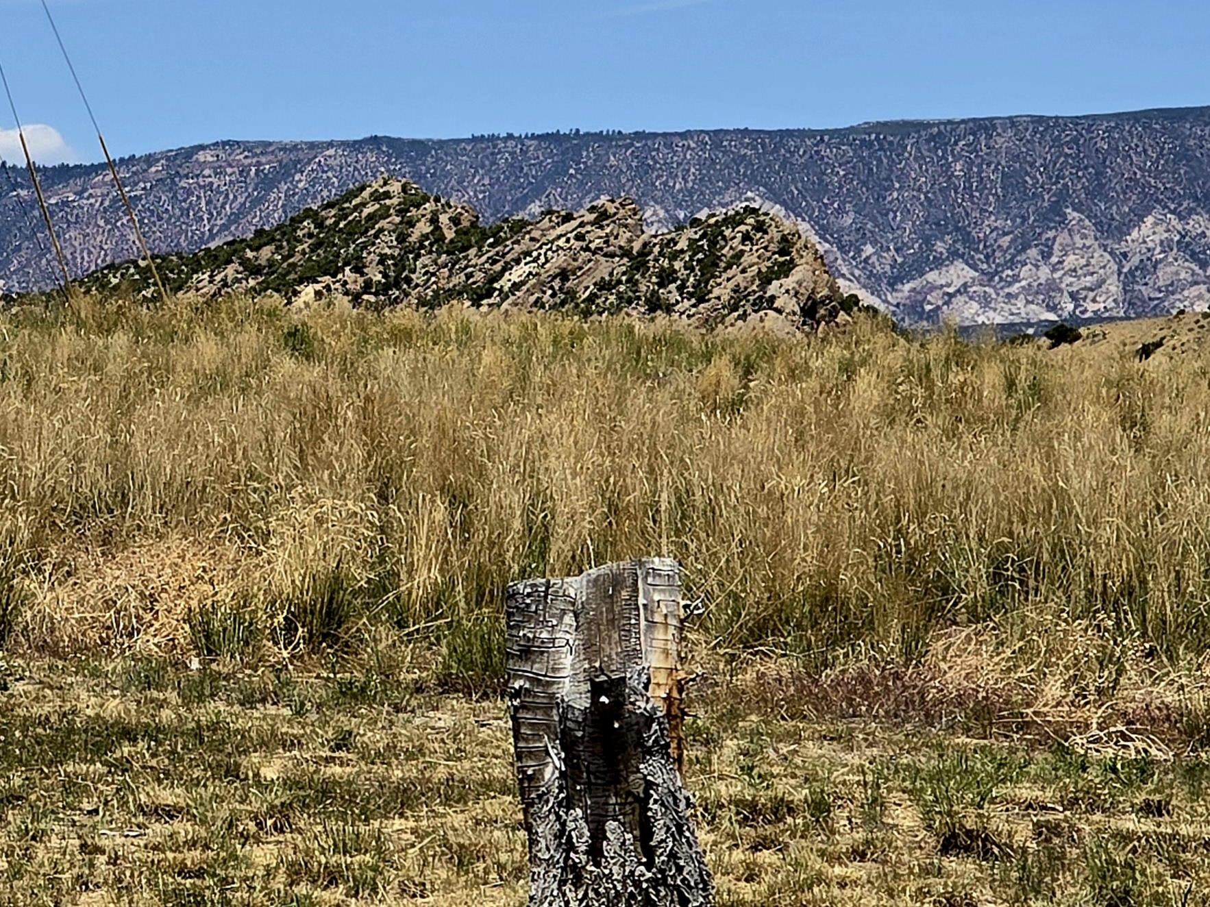 a view of wooden floor