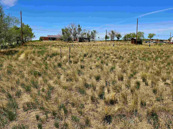 a view of a backyard of a house