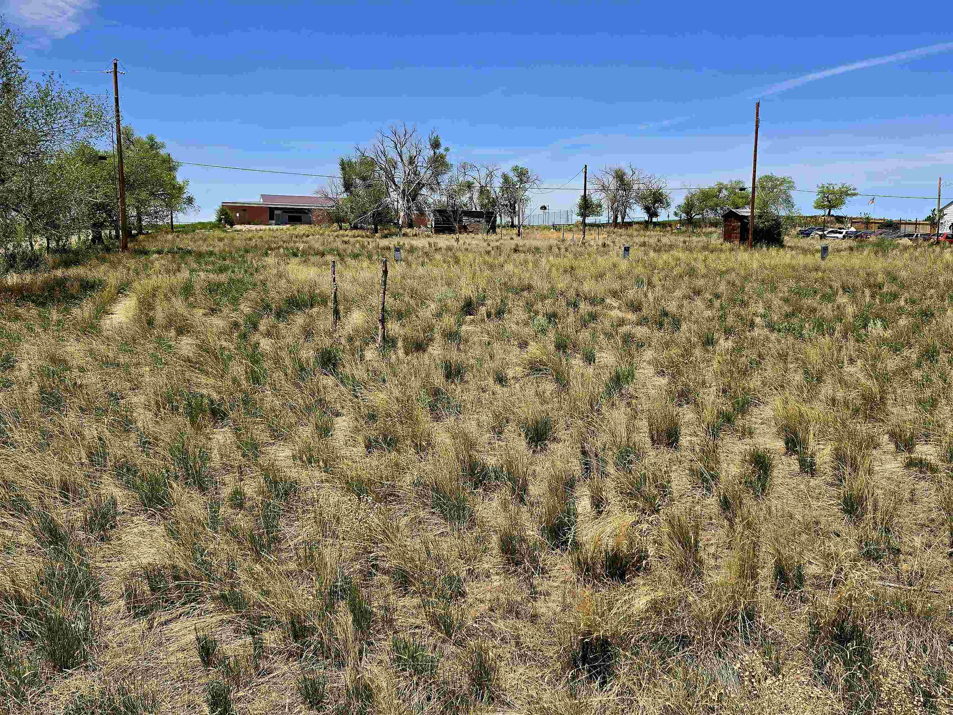 300 4th Street Dinosaur, CO 81610 - Photo 11 of 13 a view of a backyard of a house