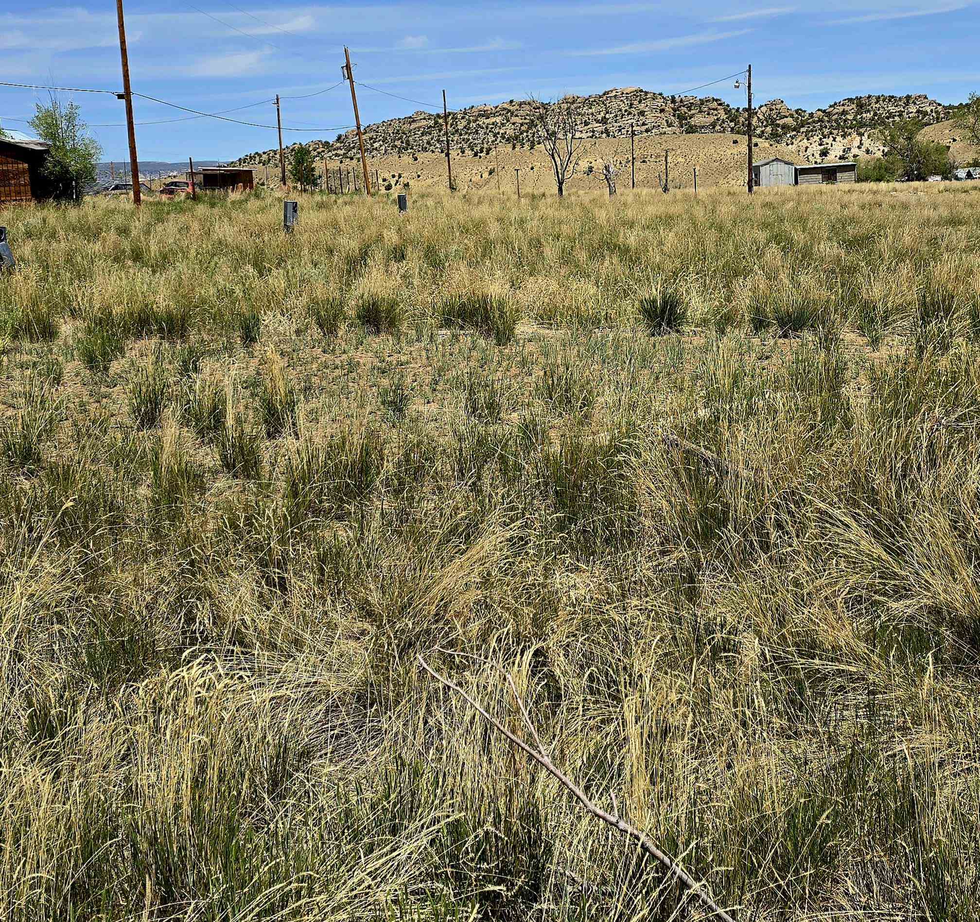 300 4th Street Dinosaur, CO 81610 - Photo 13 of 13 a view of a dry yard