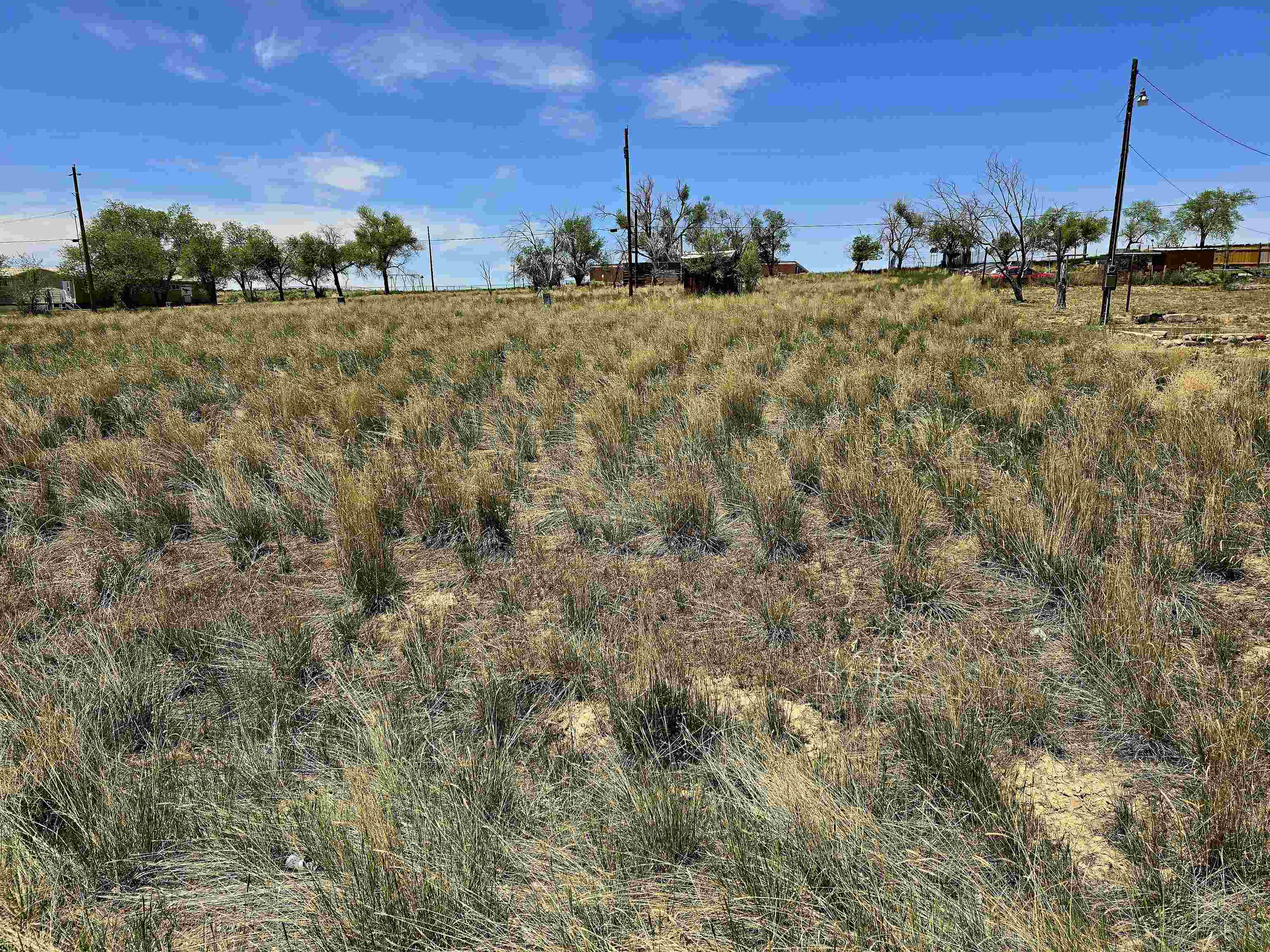 300 4th Street Dinosaur, CO 81610 - Photo 4 of 13 a view of outdoor space