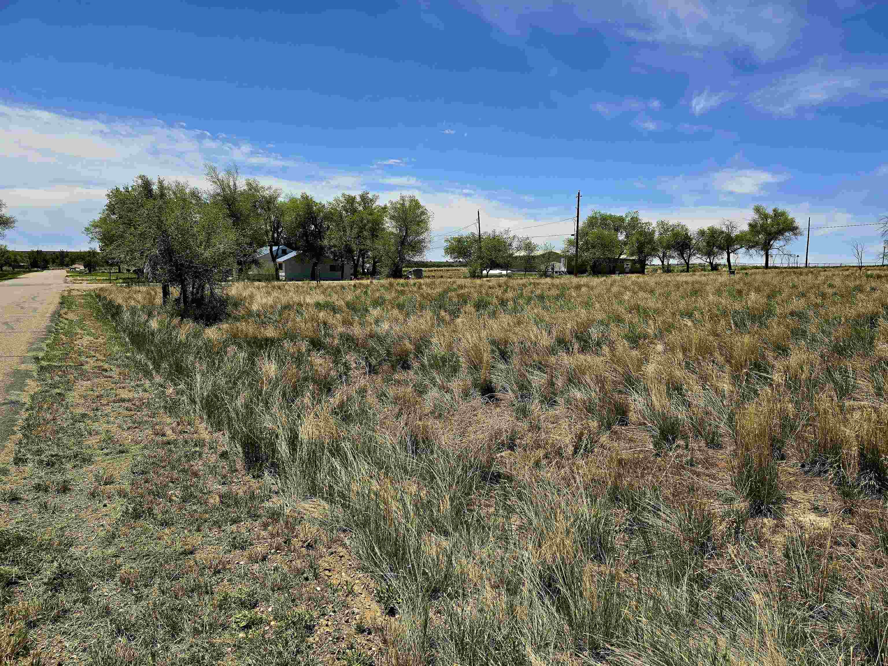 300 4th Street Dinosaur, CO 81610 - Photo 5 of 13 a view of a outdoor space