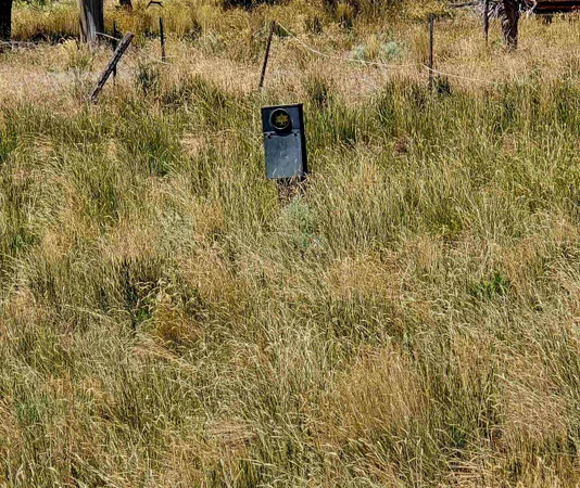 a view of a brick wall