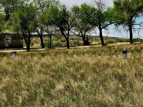 a view of yard with trees