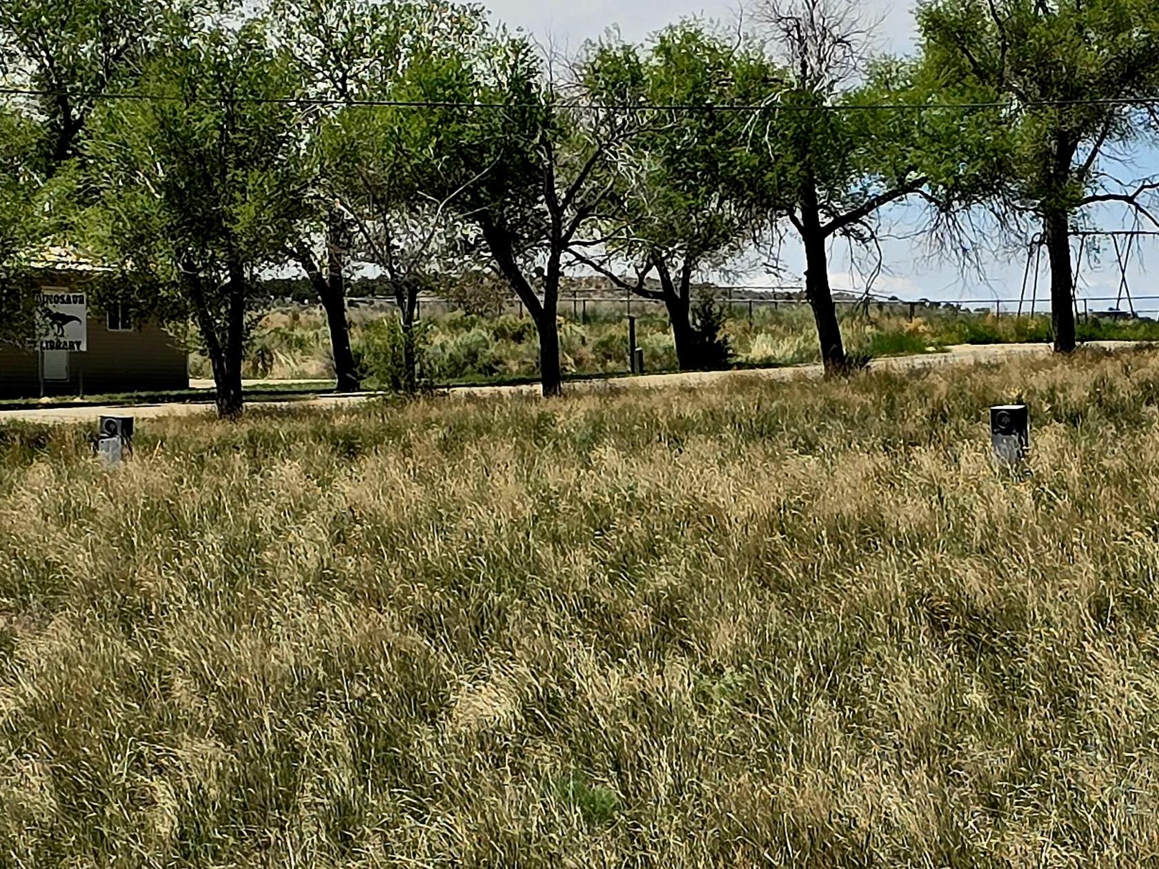 300 4th Street Dinosaur, CO 81610 - Photo 8 of 13 a view of yard with trees
