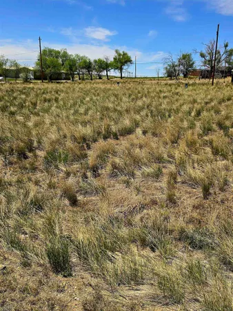 a view of a field with a building in the background