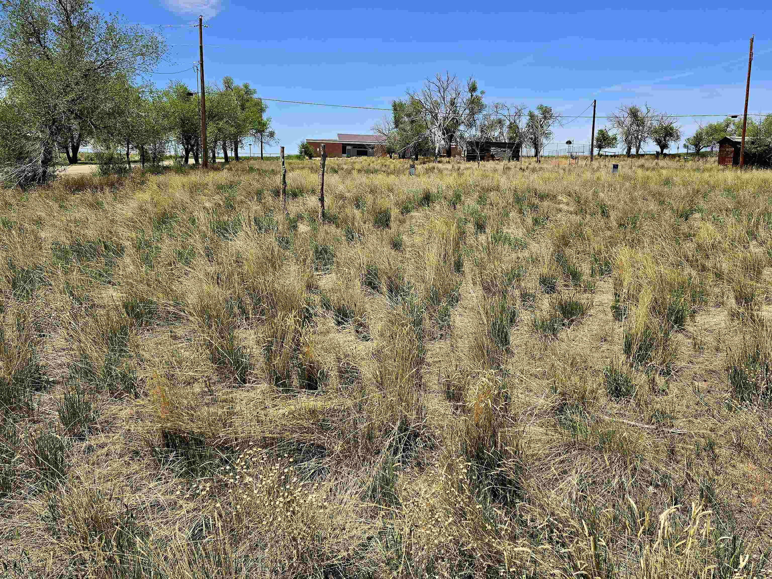 300 4th Street Dinosaur, CO 81610 - Photo 10 of 13 a view of outdoor space and yard