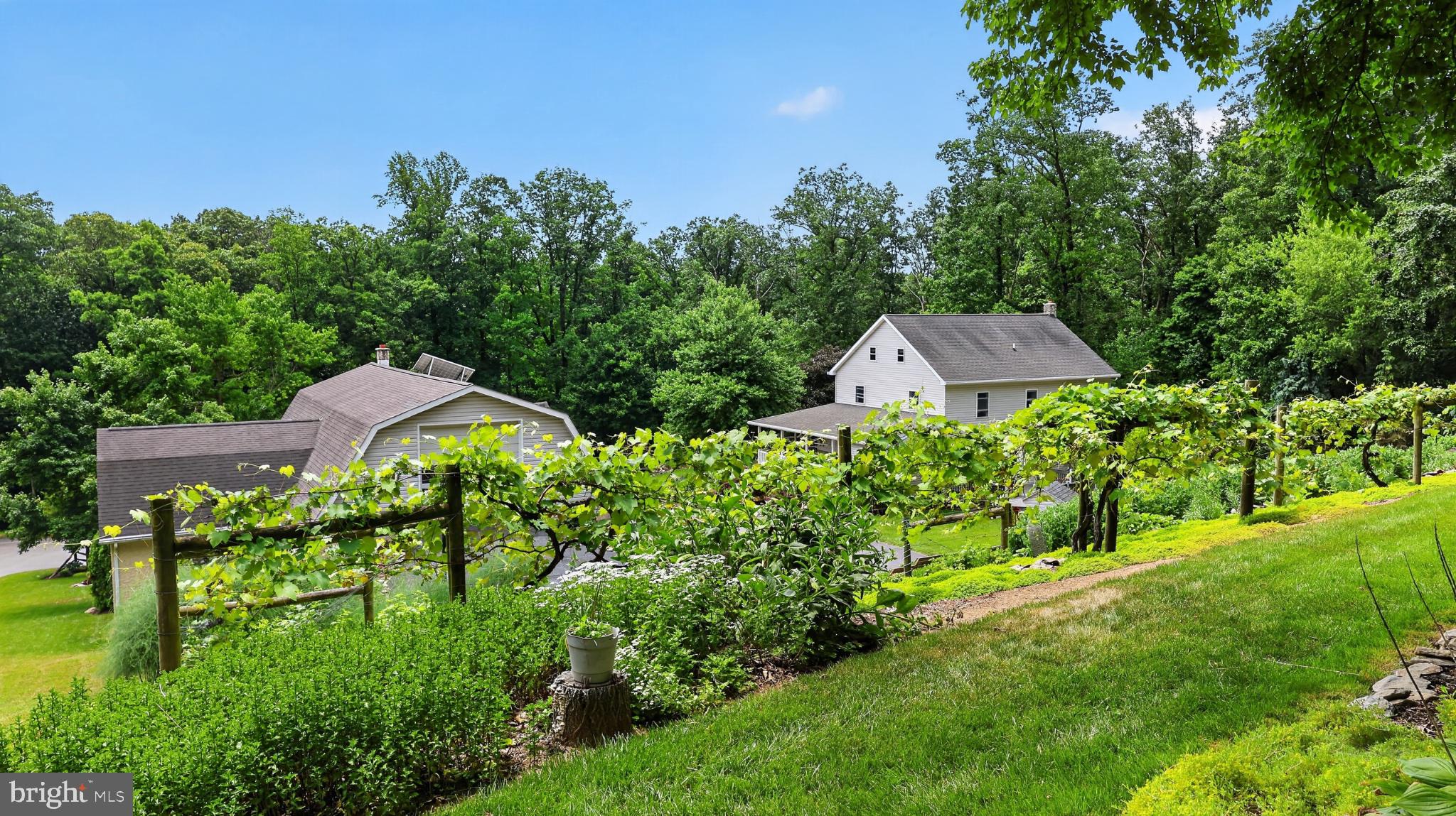 257 Hill Road New Holland, PA 17557 - Photo 28 of 94 Charming homes amidst lush vineyards.