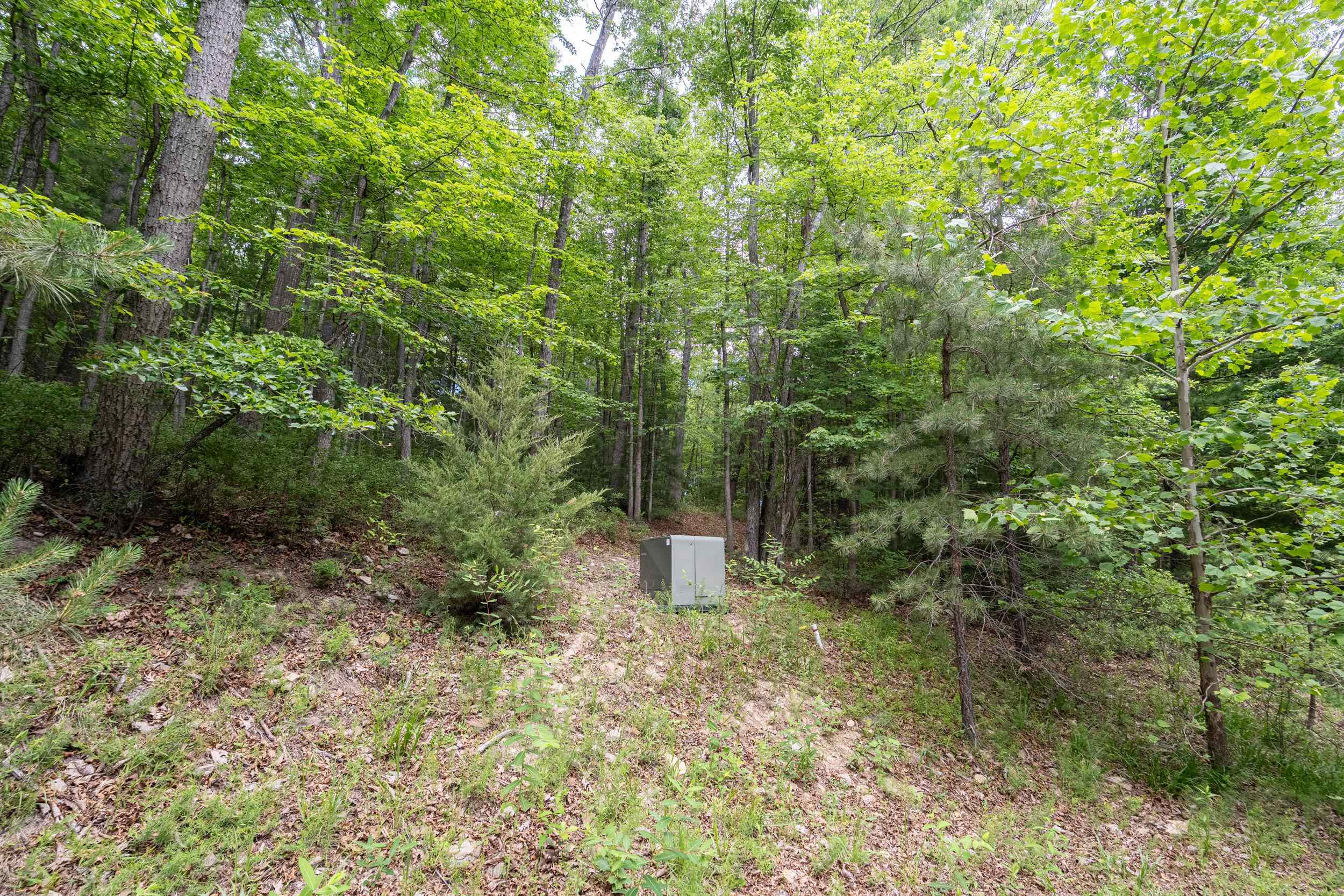 5 Rabbits Foot Road Hinton, VA 22831 - Photo 16 of 16