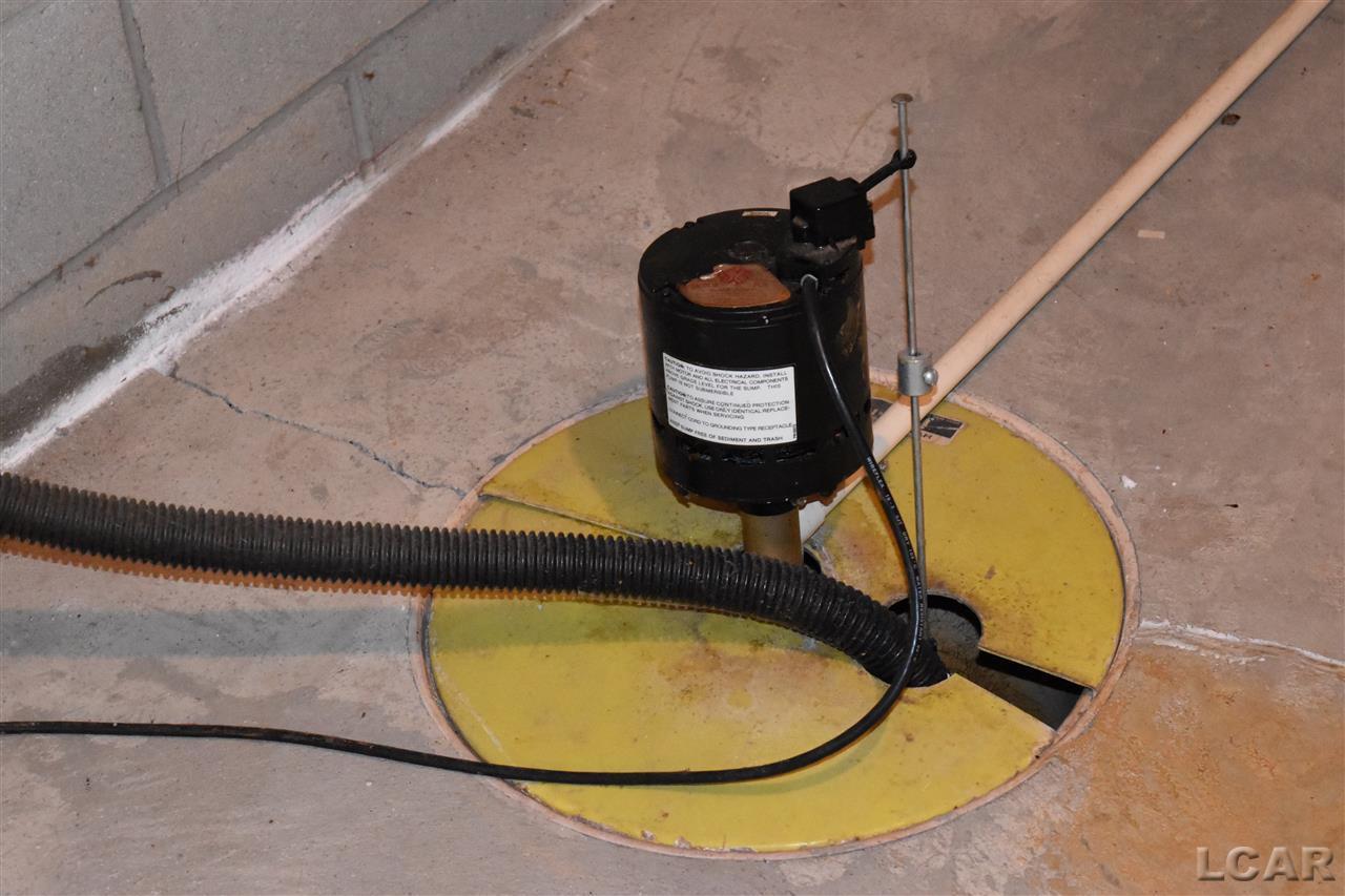 985 Riverside Avenue Adrian, MI 49221 - Photo 17 of 25 Sump Pump