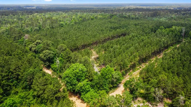 $230,000 | 3625 County Road 4520, Warren, TX 77664