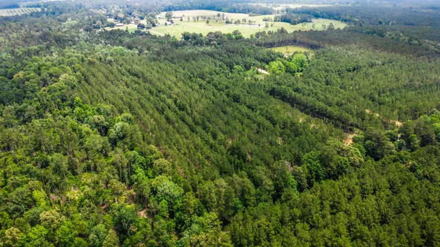 $230,000 | 3625 County Road 4520, Warren, TX 77664