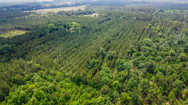 $230,000 | 3625 County Road 4520, Warren, TX 77664