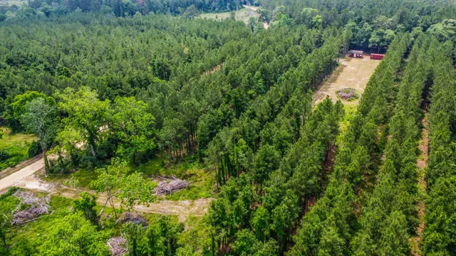 $230,000 | 3625 County Road 4520, Warren, TX 77664