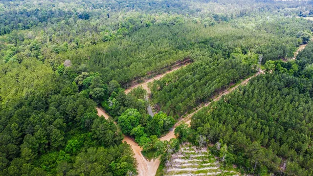 $230,000 | 3625 County Road 4520, Warren, TX 77664