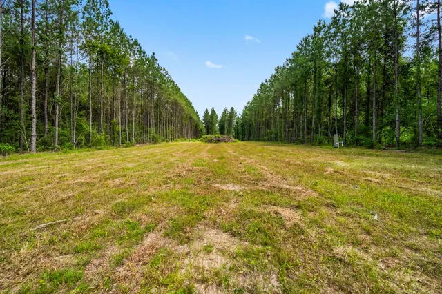 $230,000 | 3625 County Road 4520, Warren, TX 77664