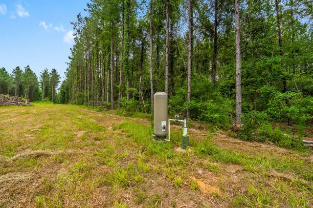 $230,000 | 3625 County Road 4520, Warren, TX 77664