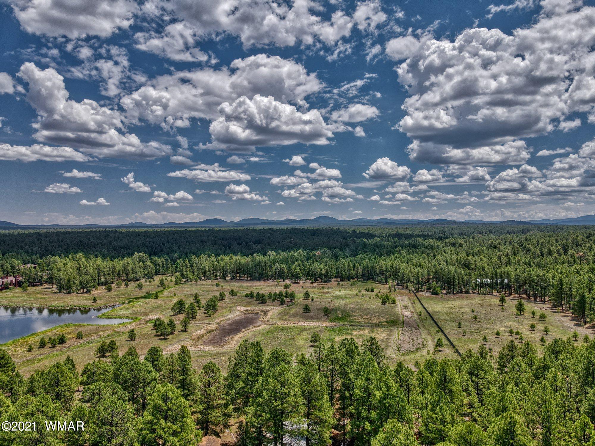 1934 East Rim Road Pinetop, AZ 85935 - Photo 3 of 21 Gallery Image 3