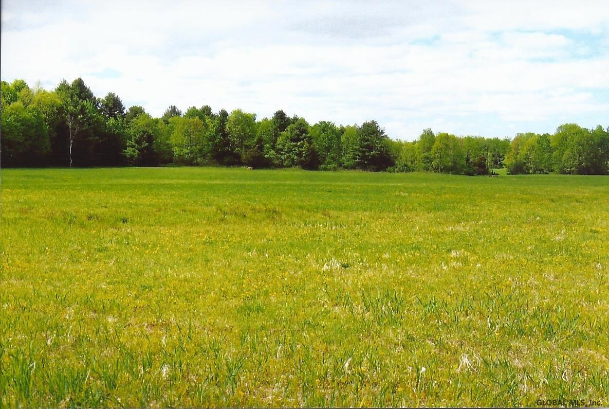 0 County Rte 12 Whitehall, NY 12887 - Photo 2 of 8 Photo 2