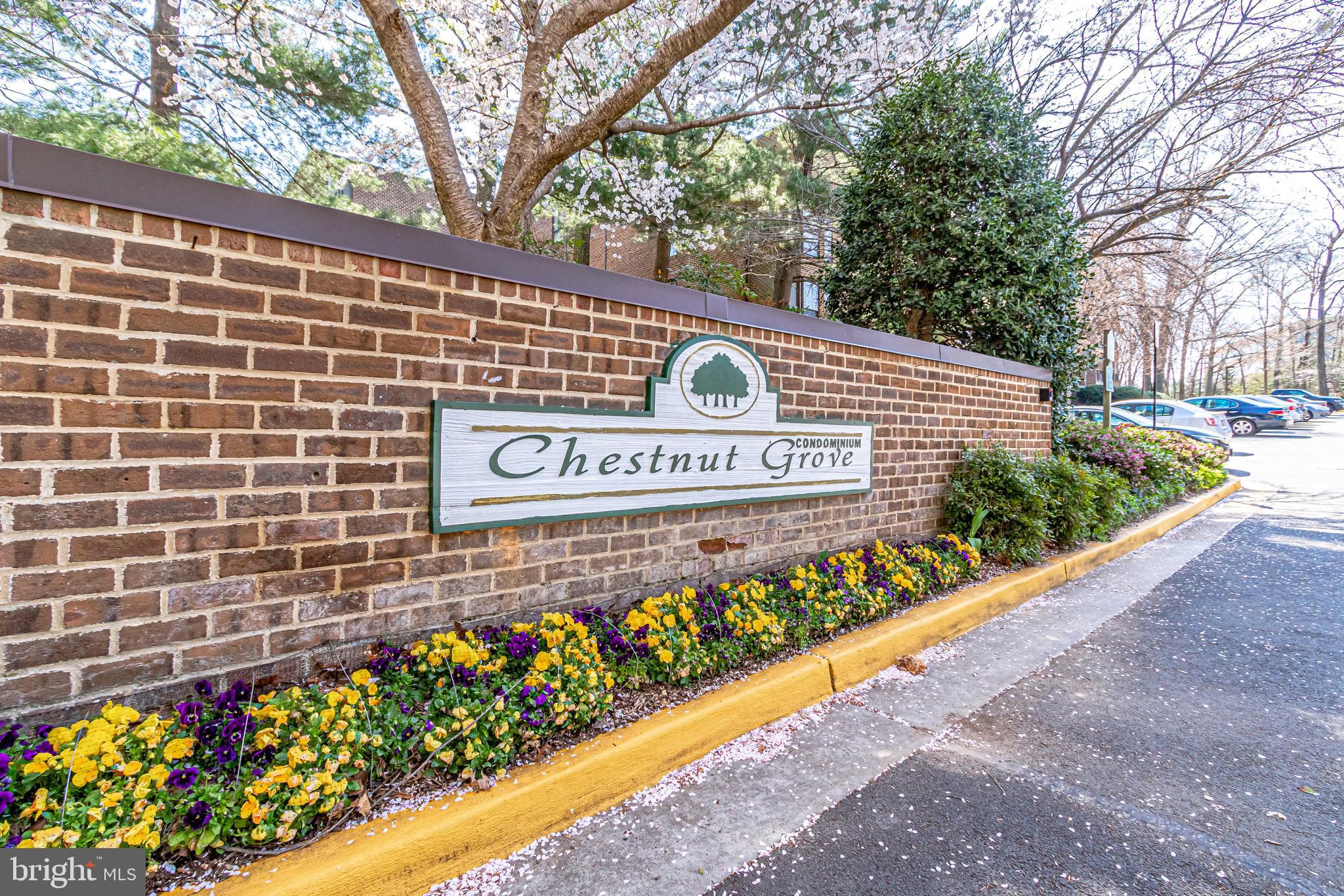 11212 Chestnut Grove Square, Unit 216 Reston, VA 20190 - Photo 3 of 31 Gallery Image 3