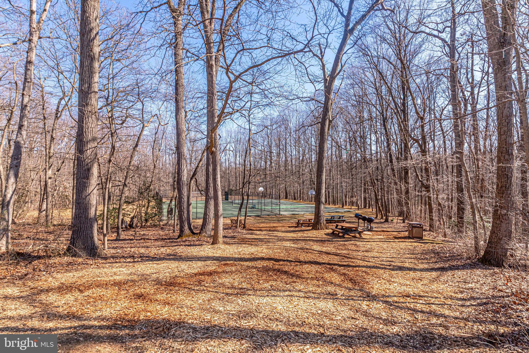 11212 Chestnut Grove Square, Unit 216 Reston, VA 20190 - Photo 26 of 31 Gallery Image 26