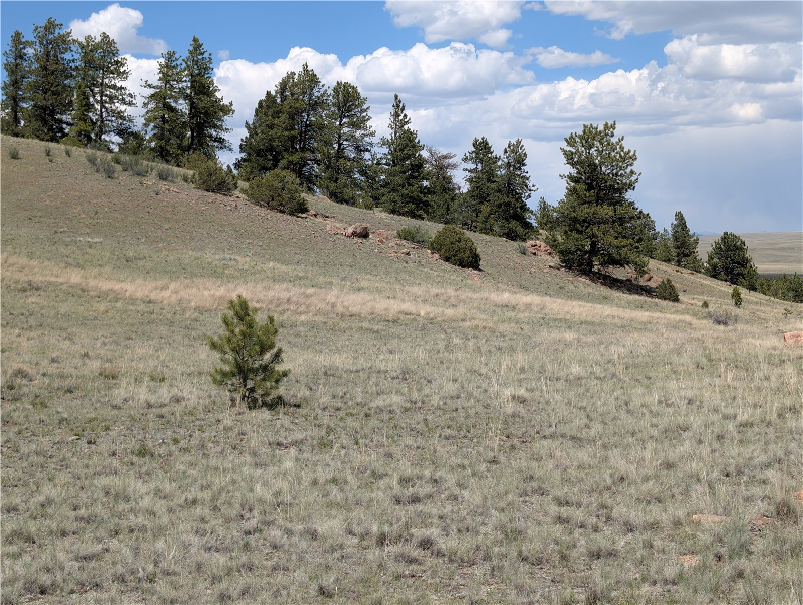 2053 Badger Creek Road Hartsel, CO 80449 - Photo 10 of 14 Gallery Image 10