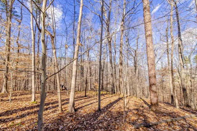 $199,000 | Lot #6 Deer Meadow Road, Semora, NC 27343