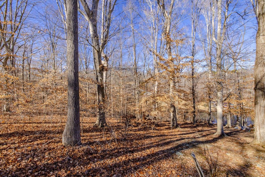 Lot #6 Deer Meadow Road Semora, NC 27343 - Photo 9 of 9 Photo 9
